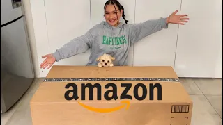 COMPRÉ la CAJA MISTERIOSA MÁS GRANDE de AMAZON Y VALIÓ la PENA!