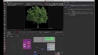 Nuke Quick Tip 007 Using Idistort and noise to create natural FX (Animated Tree wind)