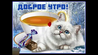 Доброе утро!❄ Хорошего дня! / Good morning! Have a good day! / Доброго ранку! Гарного дня!