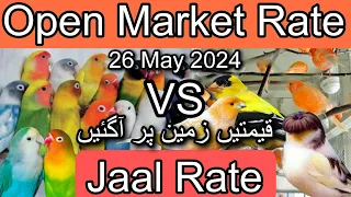 Birds price in karachi pakistan May 26, 2024 | Jaal rate update | Open market rate update