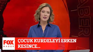 Çocuk kurdeleyi erken kesince... 4 Eylül 2021 Gülbin Tosun ile FOX Ana Haber Hafta Sonu