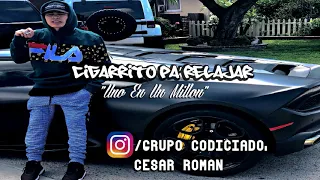 "CIAGARRITO PA' RELAJAR" (Uno En Un Millon) Grupo Codiciado Ft Cesar Roman (ESTRENO) #Purocodiciado