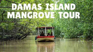 Damas Island Mangrove Tour, Manuel Antonio Costa Rica