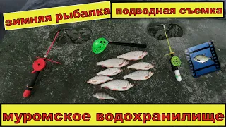 зимняя рыбалка. рыбалка зимой. подводная съемка. муромское водохранилище