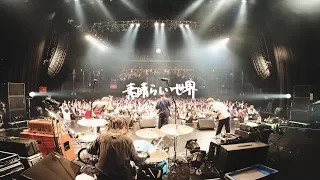 KOTORI 「素晴らしい世界」Official Live Video