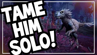How to Solo Tame Reban! | Kings Rest Dungeon Guide for Solo Hunters | World of Warcraft Shadowlands