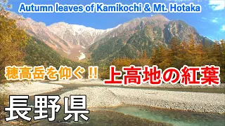 Autumn leaves of Kamikochi and Mt. Hotaka ( Nagano, Japan )