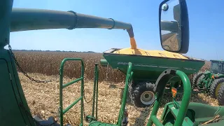 Mississippi corn harvest finally started!