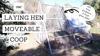 Predator Proof Chicken Coop Tour for Our Laying Hens | Bumblebee Apothecary