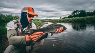 Hiking hard in Swedish Lapland to fish for trout & grayling !