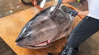 World's Sharpest Knife Cut Giant Bluefin Tuna is Just Like Butter