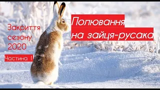 Полювання на зайця-русака | Закриття сезону 2020 | Частина 1