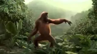 De rare aap
