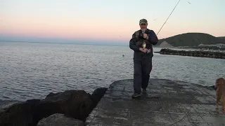 Рыбалка в Джубге, Чёрное море, отводной поводок, ласкирь 02.10.2019