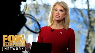 Kellyanne Conway: Congress must close immigration loopholes