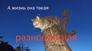 А что делать!? Всяко бывает. Нужна ли нам реклама?