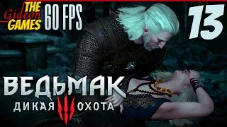 Прохождение Witcher 3 на Русском (Ведьмак 3)[PС|60fps] - Часть 13 (Нитраль)