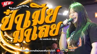 ป๋าเมียมาเลย : แคท อารียา Cover บิ๋ว พรประภา คอนเสิร์ตวงอ้ายมีผัวแล้ว ร้านสระน้ำชุมแพ