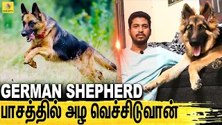 ஹிட்லரையே அழ வெச்ச DOG | All About Dogs EPISODE - 17