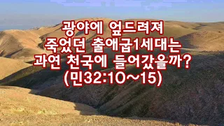 광야에 엎드려져 죽었던 출애굽1세대는과연 천국에 들어갔을까?(민32:10~15)_동탄명성교회 정병진목사