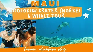 MAUI, HAWAII TRAVEL VLOG: must do snorkeling & whale tour!