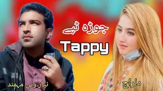 Pashto New Tapey 2021 | Niaz Wali Momand & Dilraj | Pashto New HD Song 2021