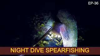 Night Dive Spearfishing In The Marshall Islands [ep36] S3/Part-6 PARADISE ISLAND