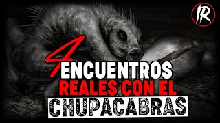 4 HISTORIAS de Encuentros REALES con el  CHUPACABRAS 🐾 | Relatos De Horror | INFRAMUNDO RELATOS