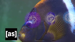 Going Deep: A FishCenter Special Report | FishCenter | Adult Swim