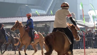 Pony Mounted Games alla Fiera Cavalli di Verona