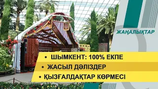 Шымкент: 100% екпе. Жасыл дәліздер. 11 қазан 2021 жыл – жаңалықтар топтамасы