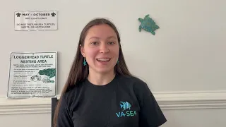 VASEA 2024  Anna Poslednik Lesson Overview - Sea Turtle Patrol (4th Grade)