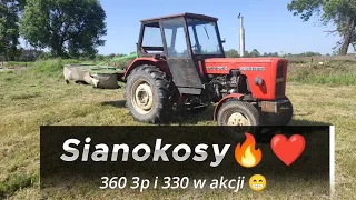 Jedyne takie sianokosy w Polsce🔥 ursus c 360 3p& ursus c 330