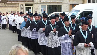 Clerical procession, 36th Pilgrimage of Notre-Dame de Chrétienté