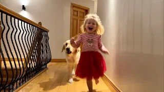 Golden Retriever Pup Chases Adorable Little Girl Everywhere! (Cutest Ever!!)