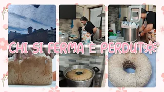 🌼CHI SI FERMA È PERDUTO💪PANE in FORNETTO VERSILIA🍞con i SEMI e PANE con le ERBE🍞RISO e LATTE😋