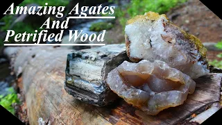 INSANELY Amazing Finds! Discovering Agatized Wood, Agates, and CRYSTALS in the Mountains!