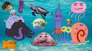 all Oceanic Gegagedigedagedago