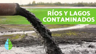 CAUSAS y CONSECUENCIAS de la CONTAMINACIÓN de LAGOS y RÍOS