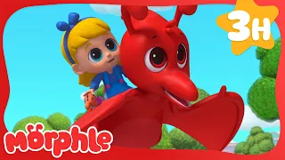 Dinosaur Hide & Seek  🦖| Fun Animal Cartoons | @MorphleTV  | Learning for Kids