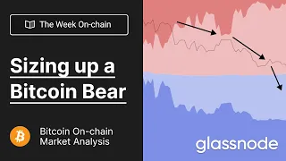 The Week On-chain: Sizing Up a Bitcoin Bear - Week 4, 2022 (Bitcoin Onchain Analysis)
