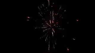 JOY 2049 -1 0.8'' 49 SHOT CAKE#fireworks #fuegosartificiales #pirotecnia #pyro