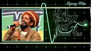 Cocoa Tea  Best of The Best Greatest Hits  mix by djeasy
