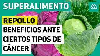 Beneficios del repollo ante ciertos tipos de cáncer