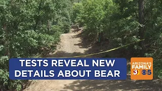 Test results offers insight into deadly bear attack south of Prescott