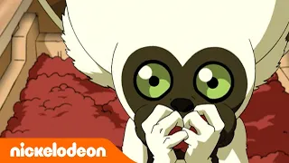 Avatar: The Last Airbender | Momo si Lemur Bagian Dua | Nickelodeon Bahasa