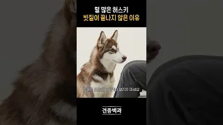 아직까지 안 끝났다고 함