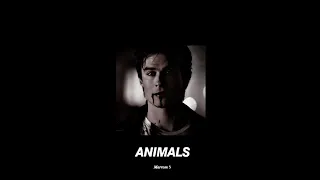 Animals - (slowed down)