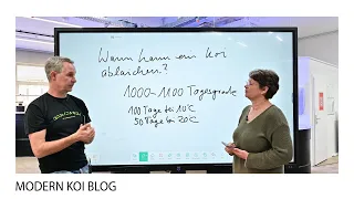 Modern Koi Blog #5144 - Nachtrag zum Thema Laichreifung bei Koi