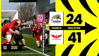 Zebre Parma vs Scarlets - Highlights from URC